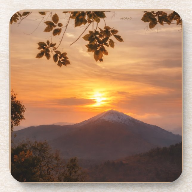 elegant coaster (Front)