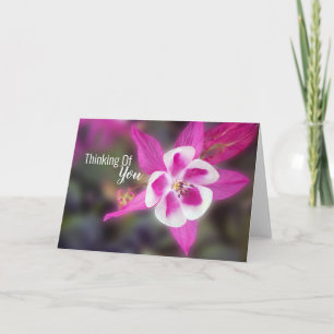 Elegant Columbine Pink Thinking Of You Card