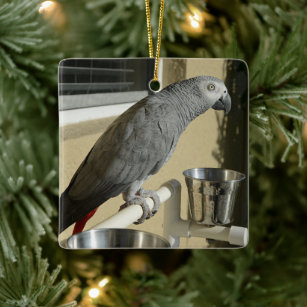 Elegant Congo African Grey Parrot on Stand Ceramic Ornament