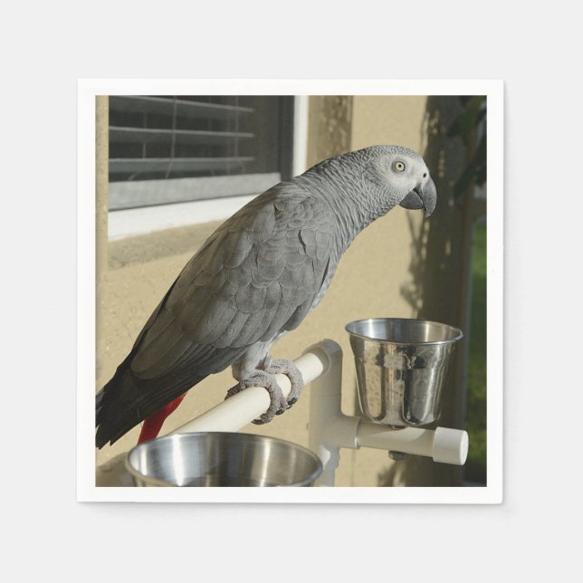 Elegant Congo African Grey Parrot on Stand Napkin (Front)