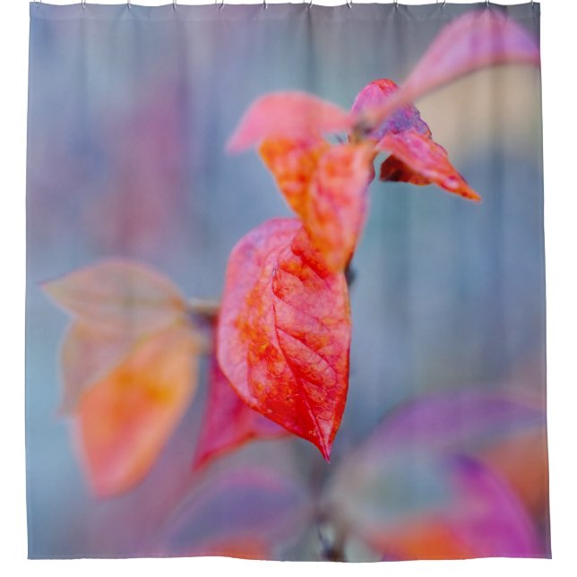 Elegant Cotoneaster Leaves (Front)