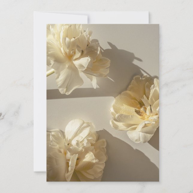 Elegant Cream Tulips in warm light,  Thank You Card (Front)