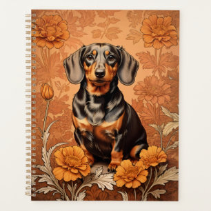 Elégant Dachshund Et Marigolds