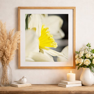 Elegant Daffodil Flower Photography by Meggidoo Poster