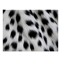 Elegant Dalmatian Faux Fur Pattern