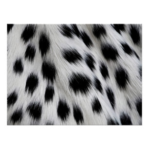 Elegant Dalmatian Faux Fur Pattern Poster