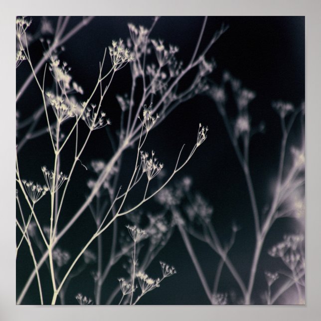 Elegant Dark Floral Abstract Poster (Front)