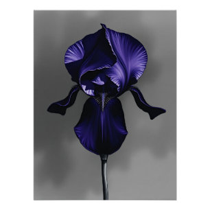 Elegant Dark Iris With Smoky Grey Poster