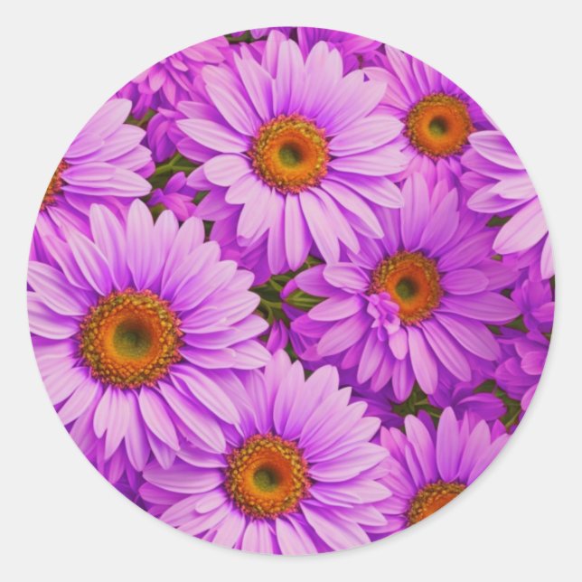 Elegant dark pink magenta floral daisies classic round sticker (Front)