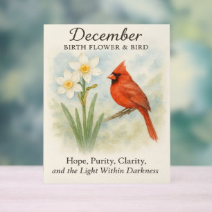 Elegant December Scripture Christian Cardinal Acrylic Sign