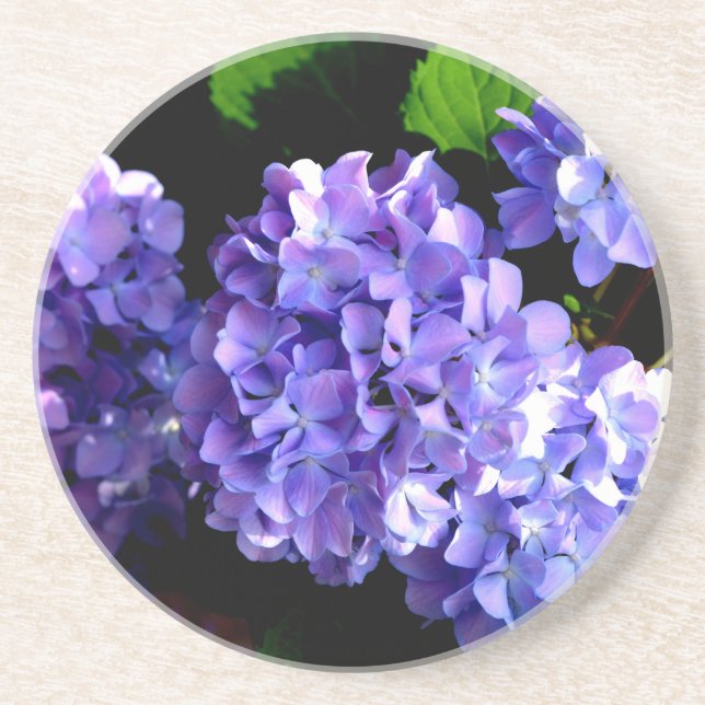 Elegant deep purple floral flowers  hydrangea coaster (Front)