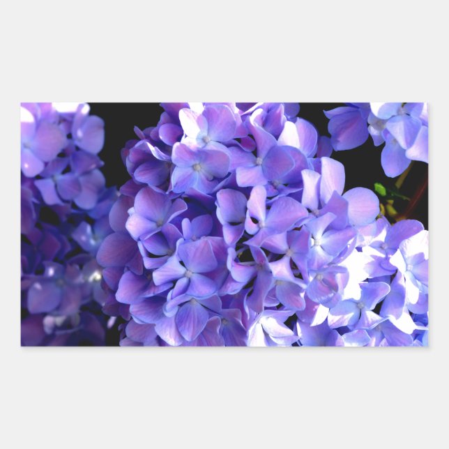 Elegant deep purple florals periwinkle hydrangeas sticker (Front)