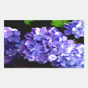 Elegant deep purple florals periwinkle hydrangeas sticker