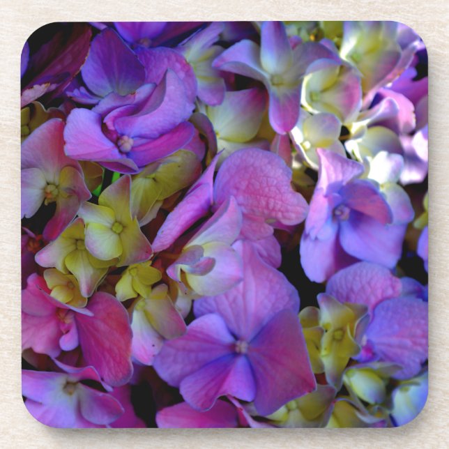 Elegant deep purple pink magenta floral hydrangeas coaster (Front)