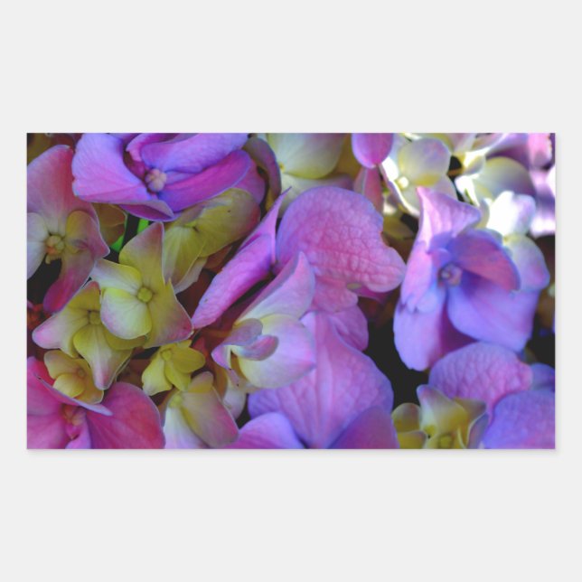Elegant deep purple pink magenta floral hydrangeas sticker (Front)