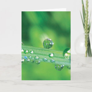 Elegant Dew Drop Note Card With Poem