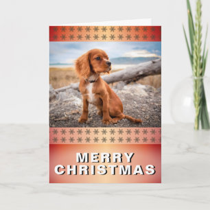 Elegant Dog Pet Photo Golden Snowflakes Christmas Holiday Card