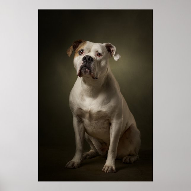 Elegant Dog Silhouette Poster (Front)