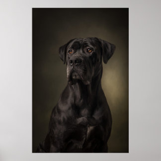 Elegant Dog Silhouette Poster