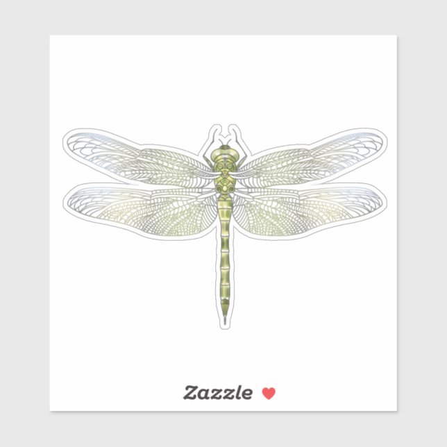Elegant Dragonfly drawing  (Sheet)