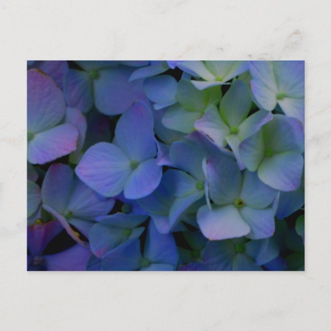 Elegant dusty blue purple floral postcard (Front)