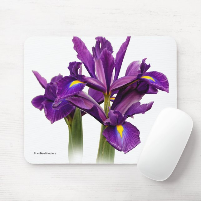 Elegant Dutch Iris Purple Sensation Flowers Mouse Pad (With Mouse)