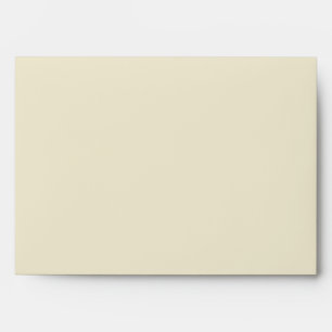 Elegant Ecru Lace Wedding Anniversary Vintage Envelope