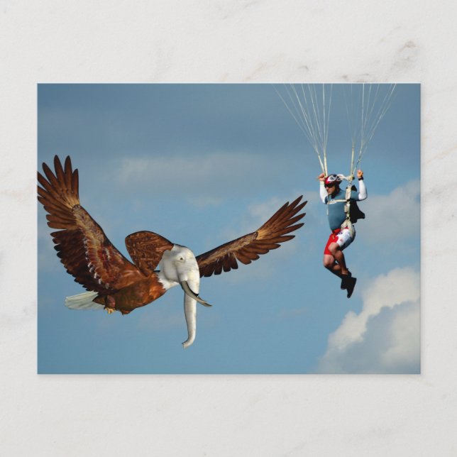 Elegant Elephant Eagle Postcard (Front)