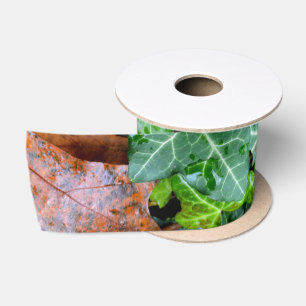 Elegant English Ivy and field stone Satin Ribbon
