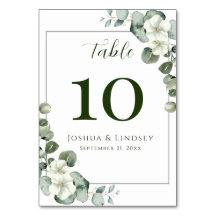 Elegant Eucalyptus and White Blossom Table Number