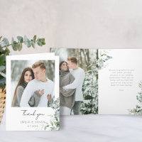 Elegant Eucalyptus Greenery Photo