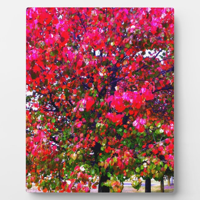 Elegant Fall Autumn pink impressionistic trees Plaque (Front)