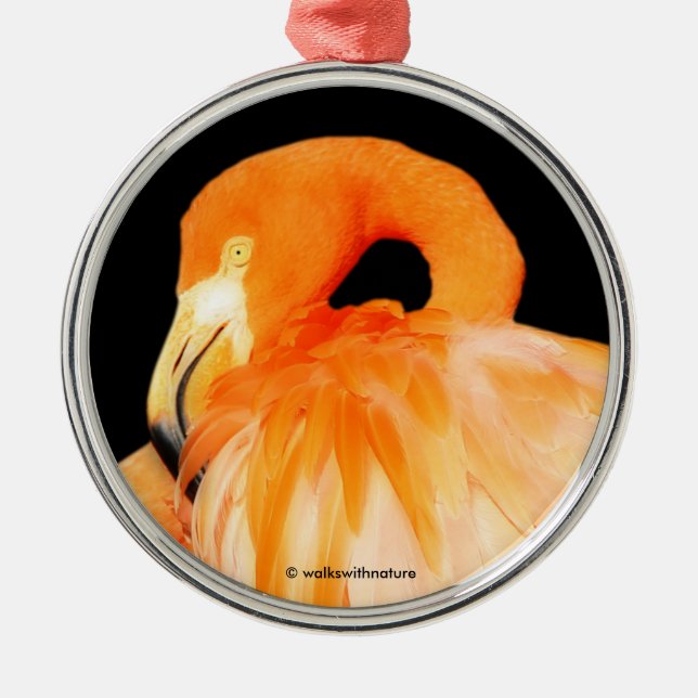 Elegant Flamingo in the Summer Sun Metal Ornament (Front)