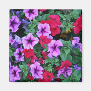 Elegant Floral Card (3) Magnet