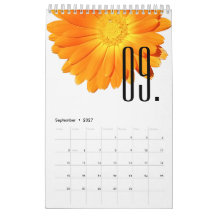 Elegant Floral Colourful Flowers Flower Lover 2027