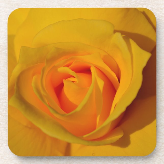 Elegant floral flower Yellow Rose Coaster (Front)