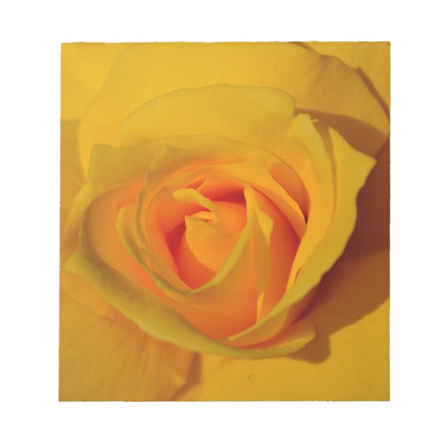 Elegant floral flower Yellow Rose Notepad (Front)
