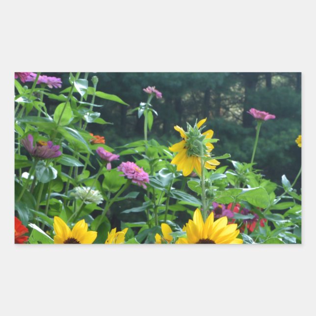 Elegant floral garden sunflowers zinnia mums  sticker (Front)