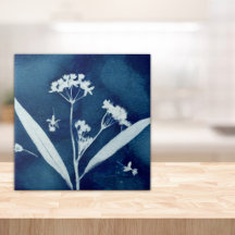 Elegant Floral Milkweed Cyanotype