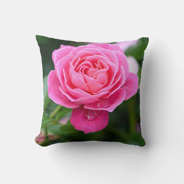 Elegant Floral Pink Rose Garden Accent Pillow (Front)