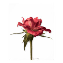 Elegant Floral Rose Poster