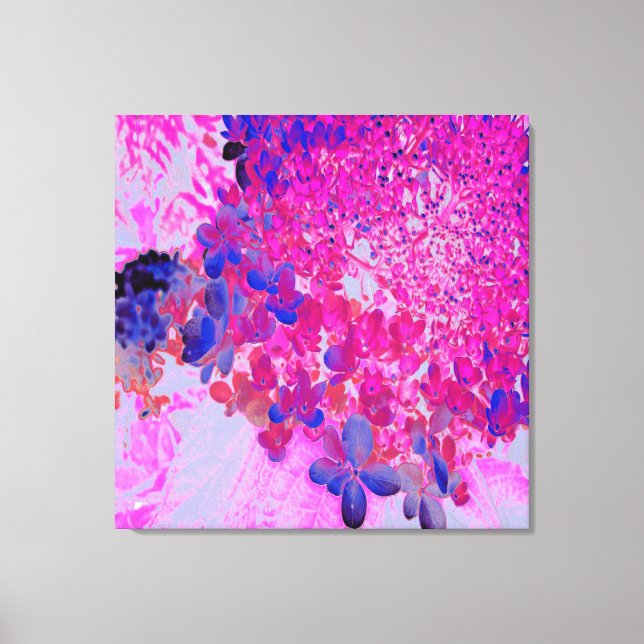 Elegant Fuchsia and Dark Blue Limelight Hydrangea Canvas Print (Front)