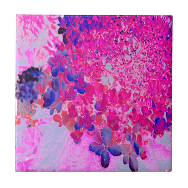 Elegant Fuchsia and Dark Blue Limelight Hydrangea Tile (Front)
