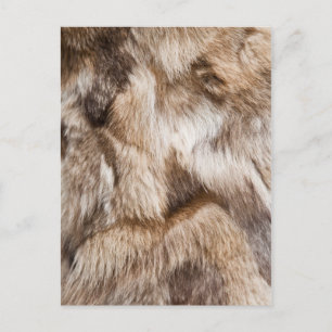 Elegant fur texture postcard