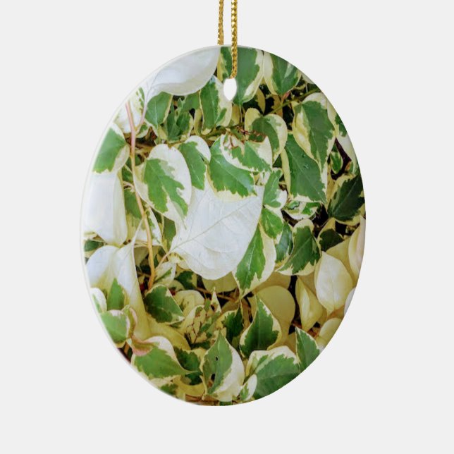 Elegant Garden Rustic  Ceramic Ornament (Right)