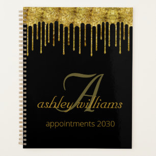 Elegant gold glitter drips salon appointments planner