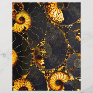 Elegant Golden black Nautilus shell