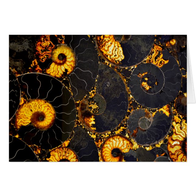 Elegant golden nautilus design (Front Horizontal)