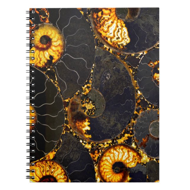 Elegant golden nautilus design notebook (Front)
