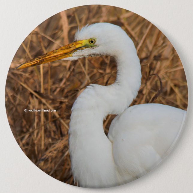 Elegant Great Egret in the Reeds 6 Inch Round Button (Front)